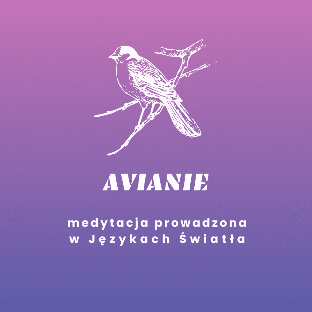 AVIANIE - medytacja